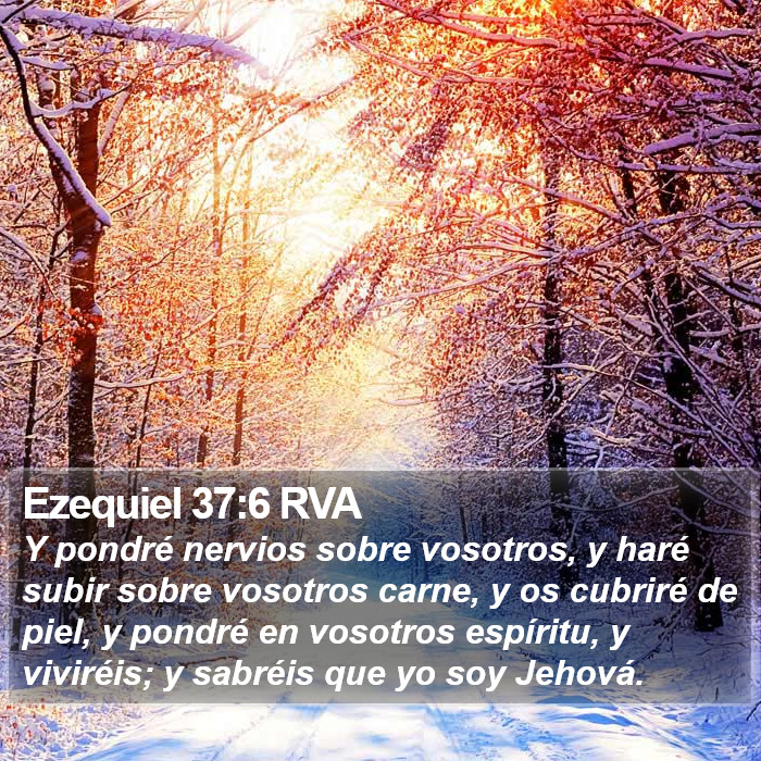 Ezequiel 37:6 RVA Bible Study