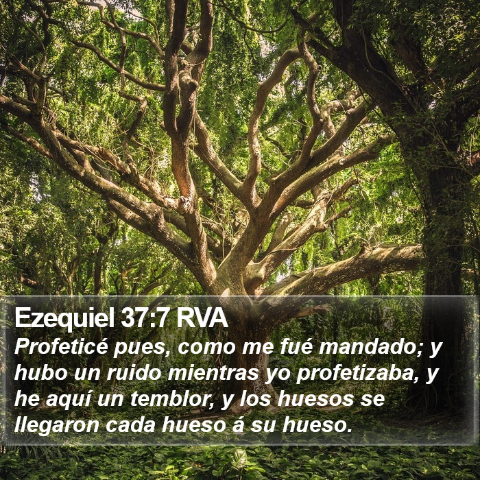 Ezequiel 37:7 RVA Bible Study