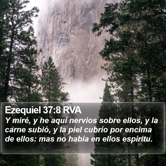 Ezequiel 37:8 RVA Bible Study