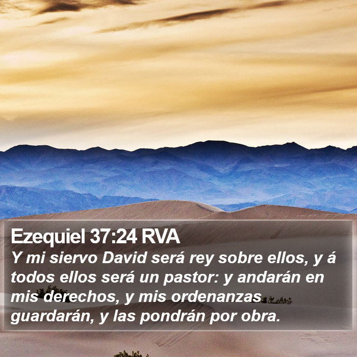 Ezequiel 37:24 RVA Bible Study