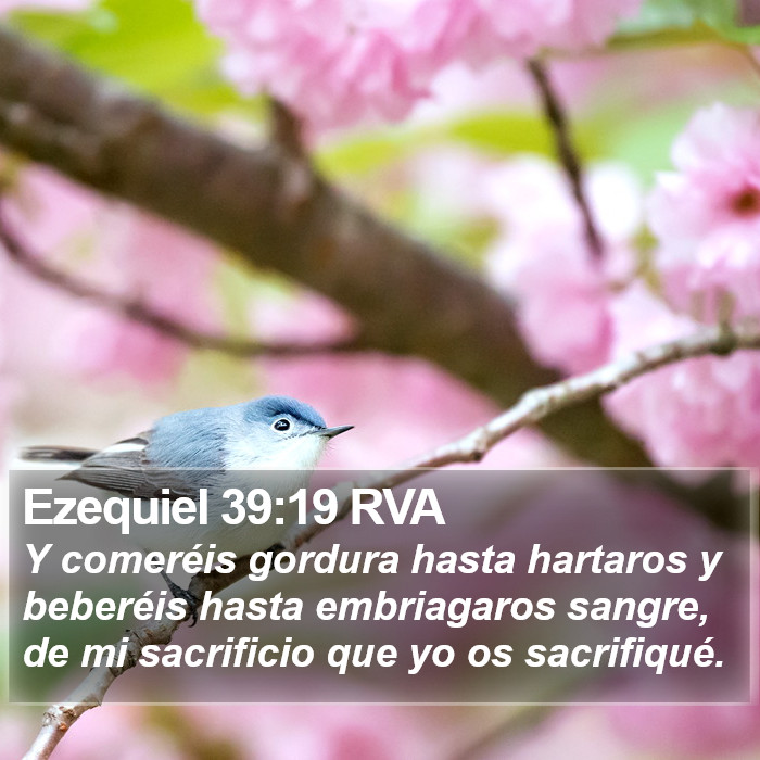 Ezequiel 39:19 RVA Bible Study