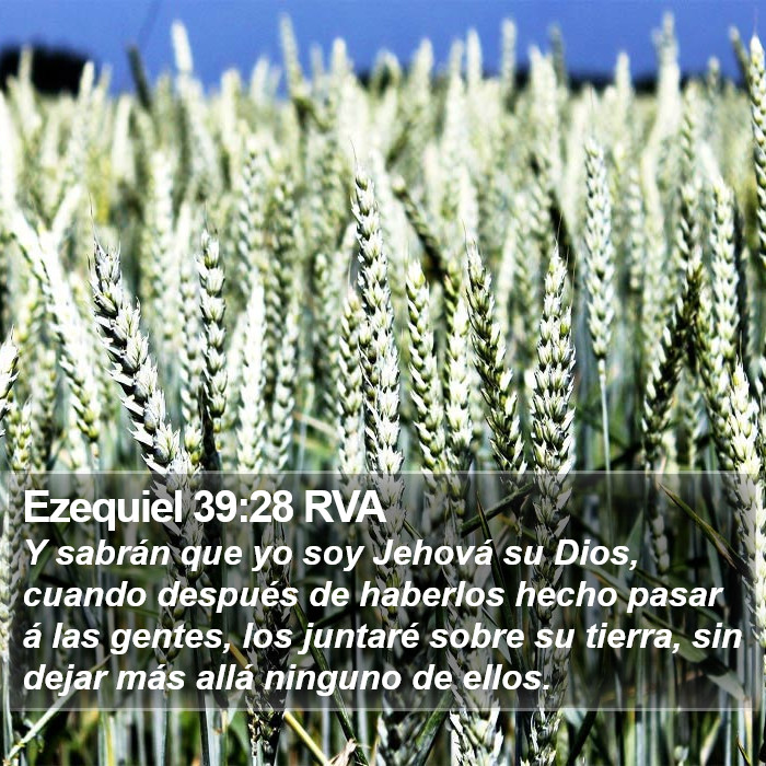 Ezequiel 39:28 RVA Bible Study