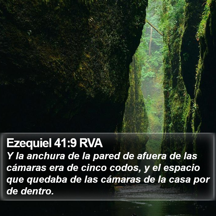 Ezequiel 41:9 RVA Bible Study