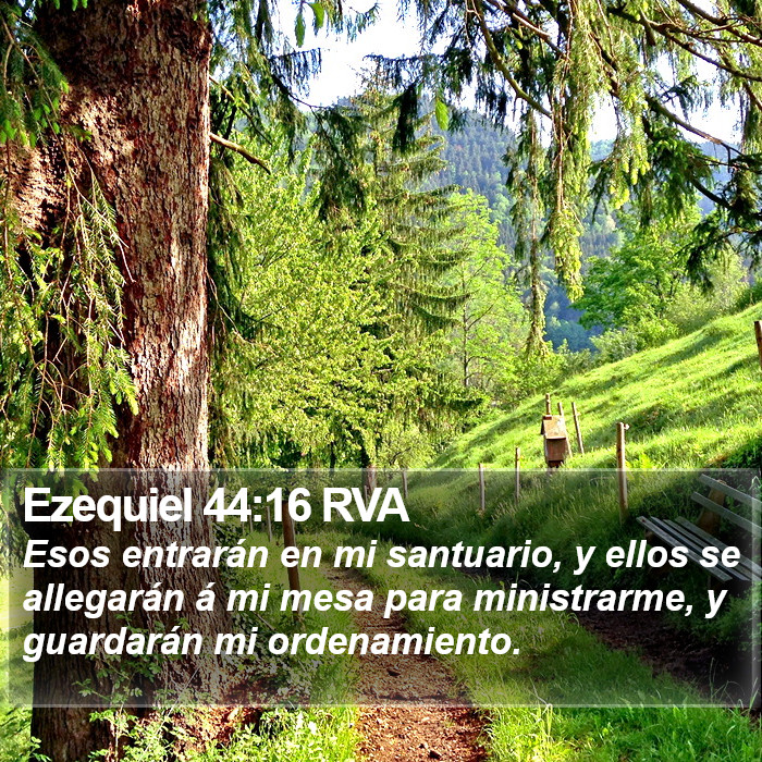 Ezequiel 44:16 RVA Bible Study