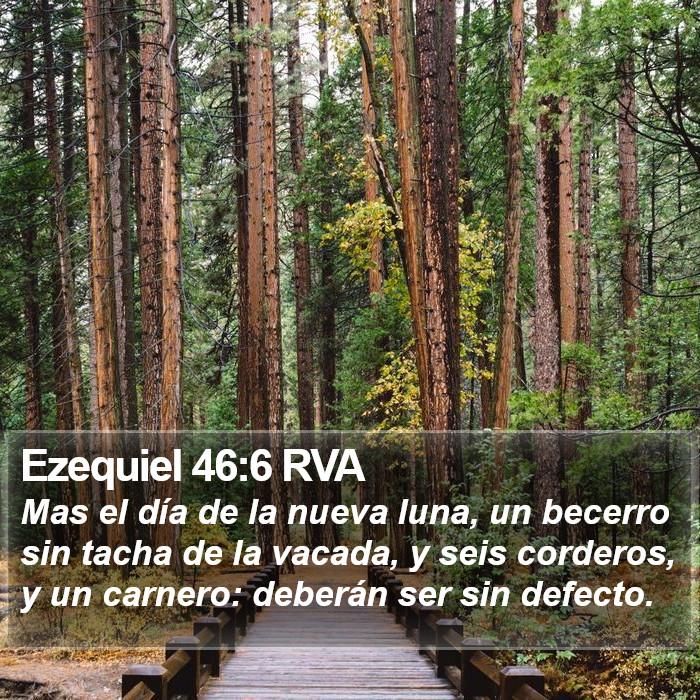 Ezequiel 46:6 RVA Bible Study