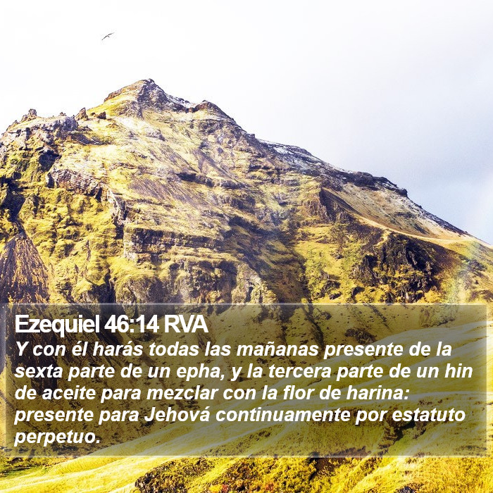 Ezequiel 46:14 RVA Bible Study