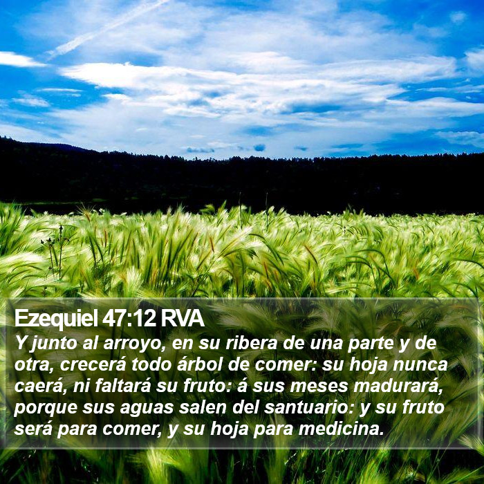 Ezequiel 47:12 RVA Bible Study