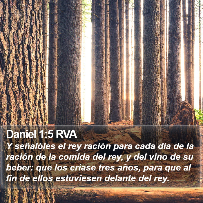 Daniel 1:5 RVA Bible Study