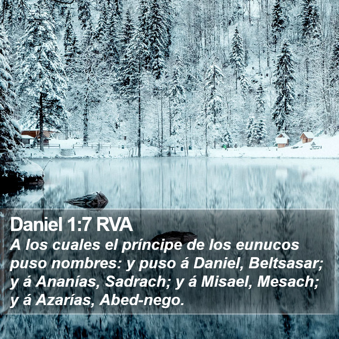 Daniel 1:7 RVA Bible Study