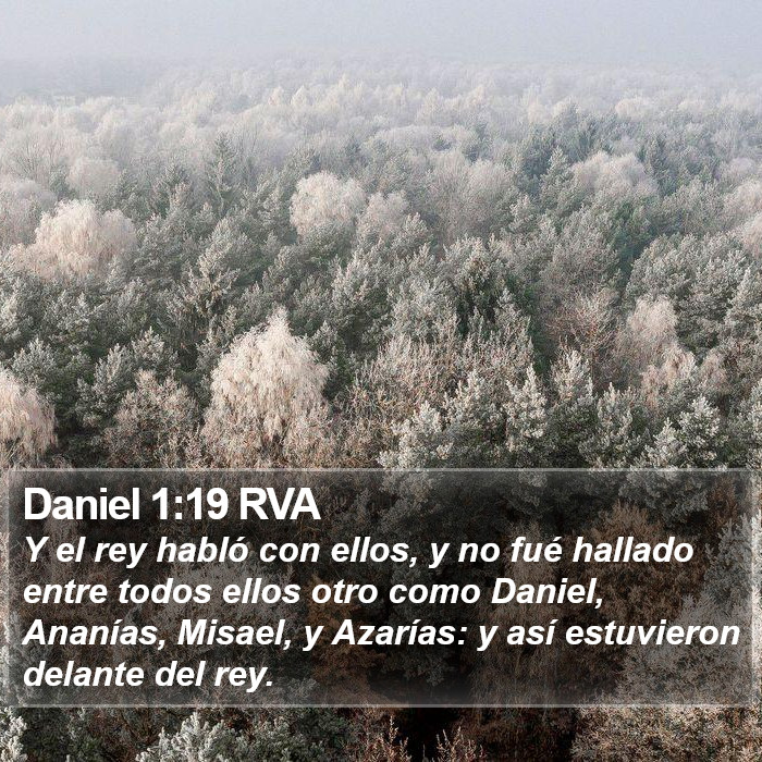 Daniel 1:19 RVA Bible Study