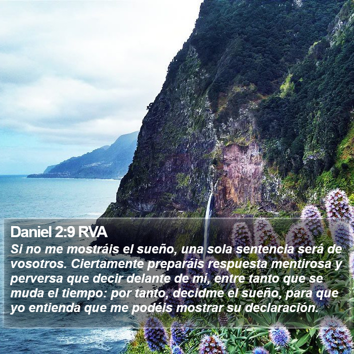 Daniel 2:9 RVA Bible Study