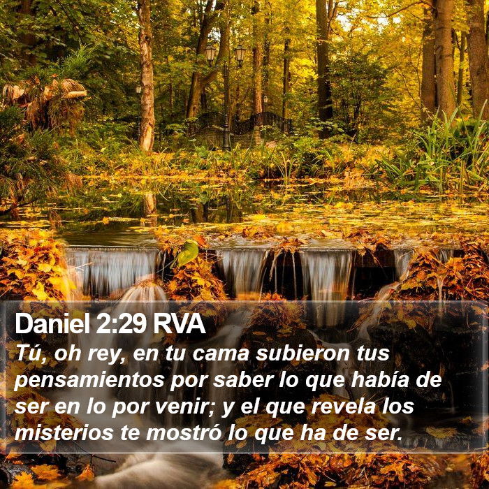 Daniel 2:29 RVA Bible Study