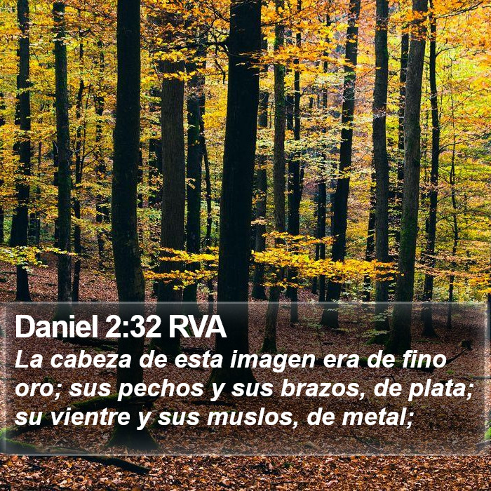 Daniel 2:32 RVA Bible Study