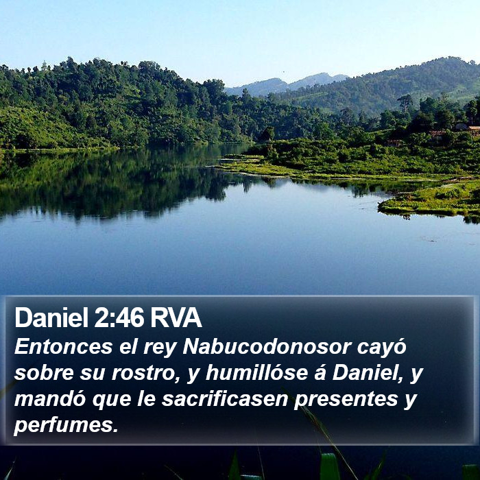 Daniel 2:46 RVA Bible Study