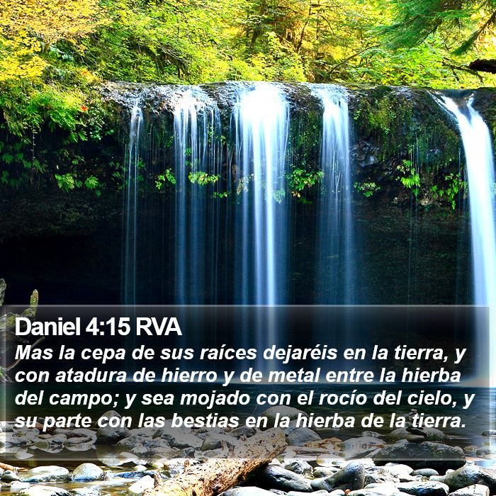 Daniel 4:15 RVA Bible Study