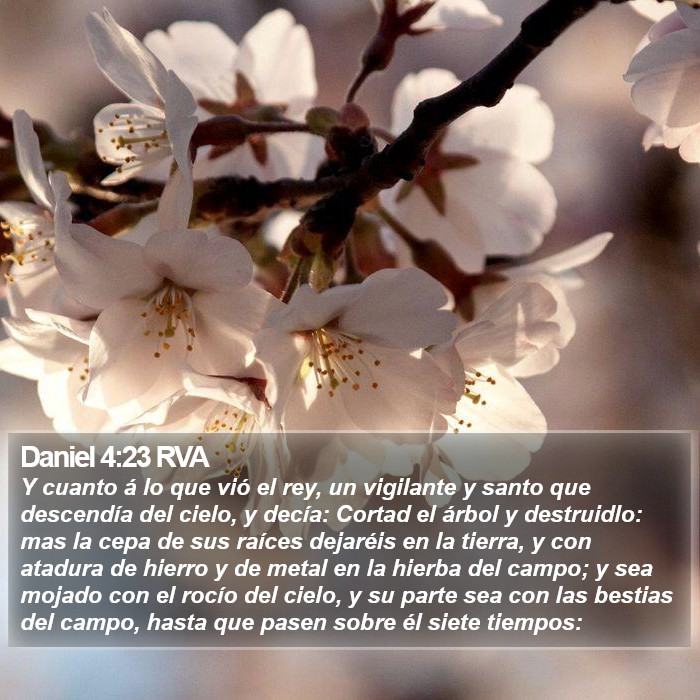 Daniel 4:23 RVA Bible Study