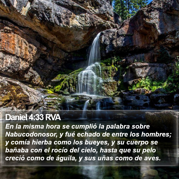 Daniel 4:33 RVA Bible Study