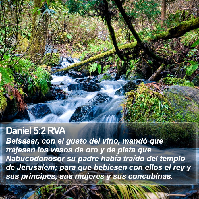 Daniel 5:2 RVA Bible Study