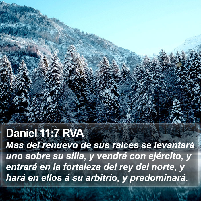 Daniel 11:7 RVA Bible Study