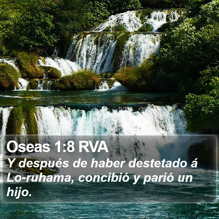 Oseas 1:8 RVA Bible Study