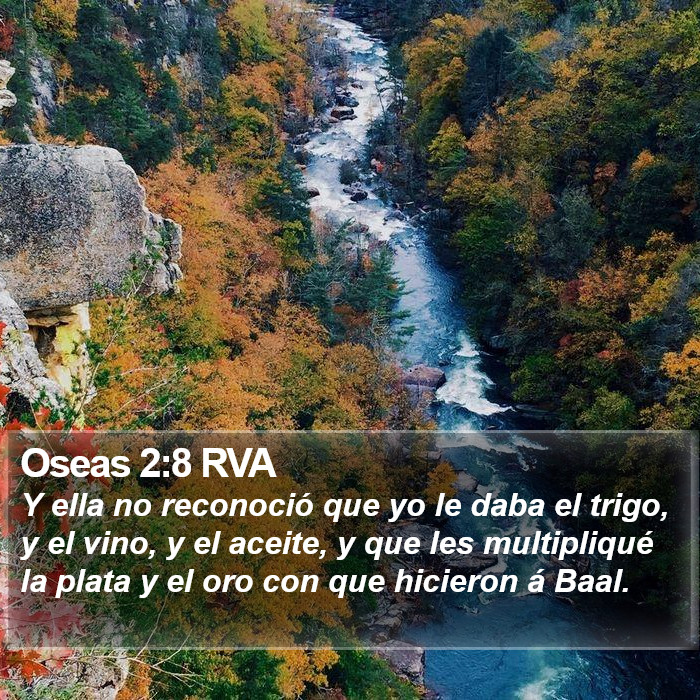 Oseas 2:8 RVA Bible Study