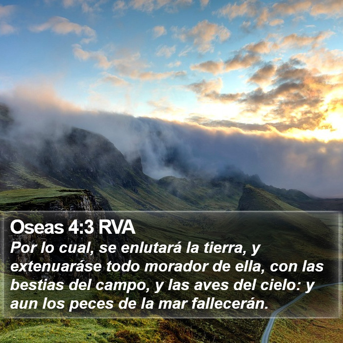 Oseas 4:3 RVA Bible Study