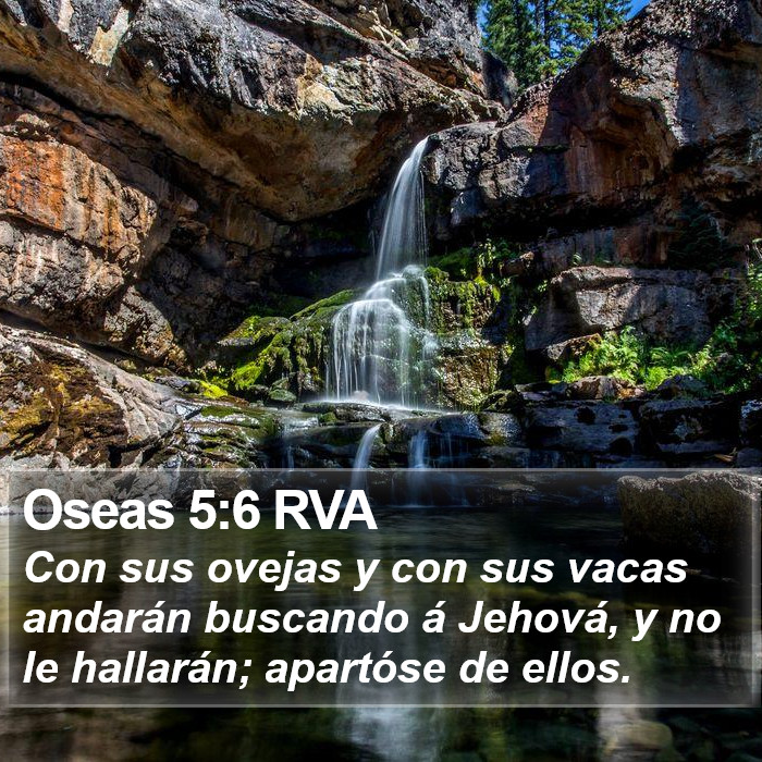 Oseas 5:6 RVA Bible Study