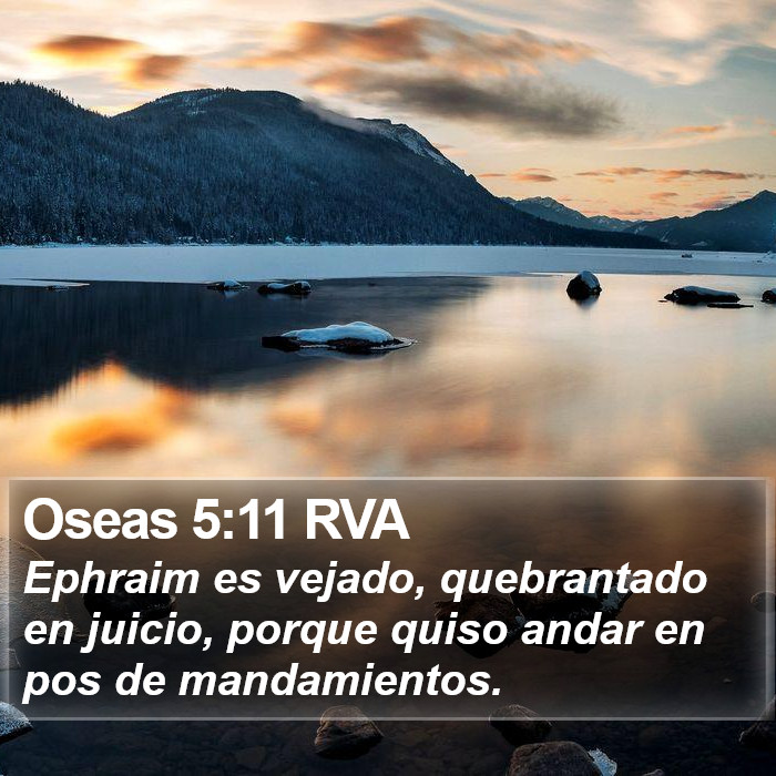 Oseas 5:11 RVA Bible Study