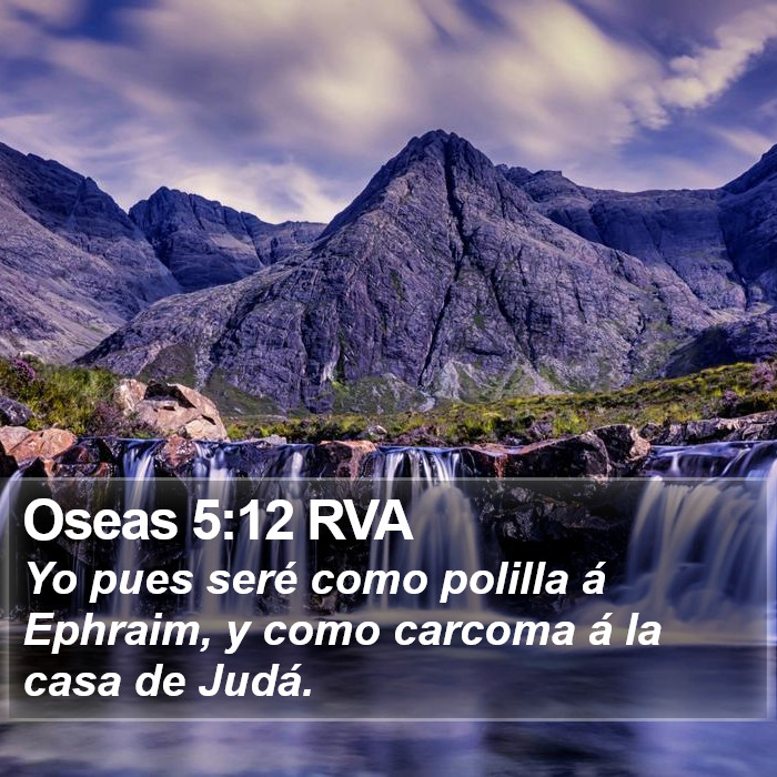 Oseas 5:12 RVA Bible Study