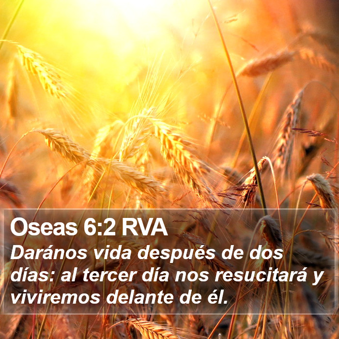 Oseas 6:2 RVA Bible Study