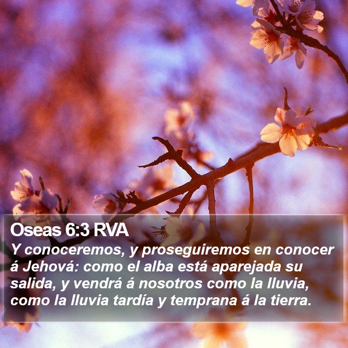 Oseas 6:3 RVA Bible Study