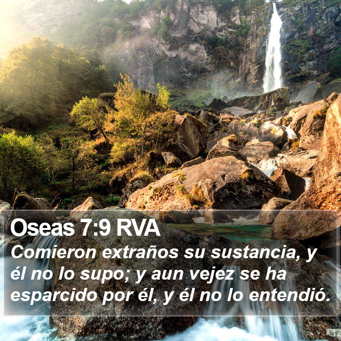 Oseas 7:9 RVA Bible Study