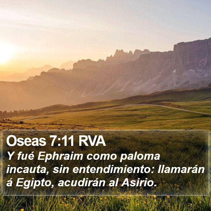 Oseas 7:11 RVA Bible Study