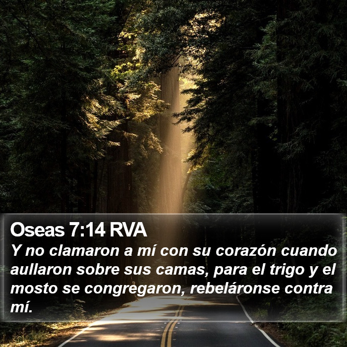 Oseas 7:14 RVA Bible Study