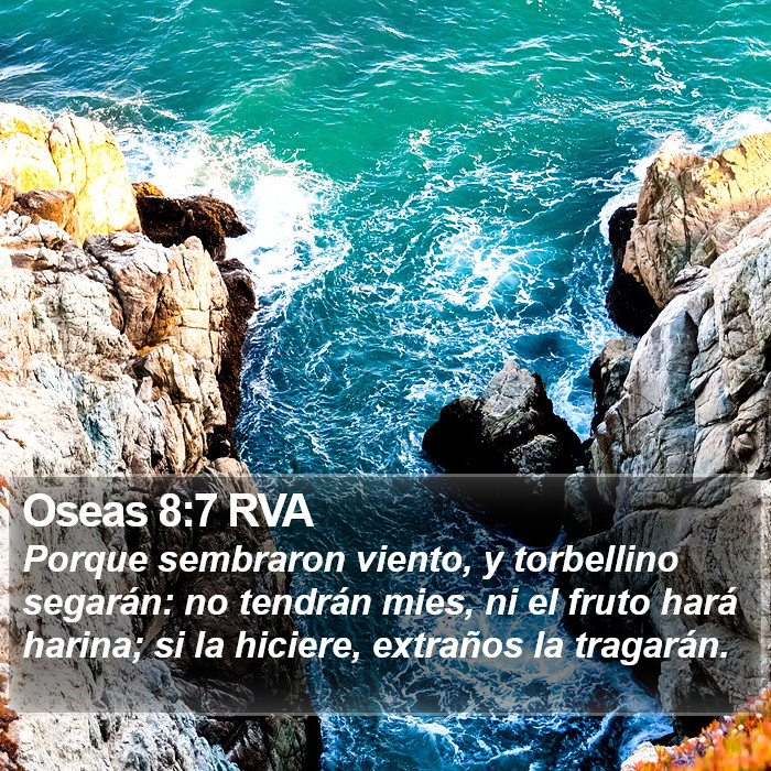 Oseas 8:7 RVA Bible Study