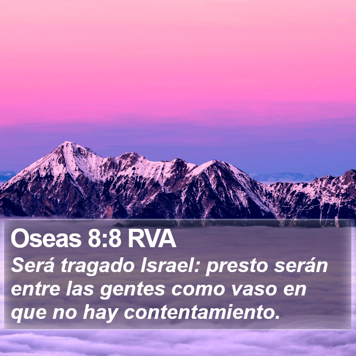 Oseas 8:8 RVA Bible Study