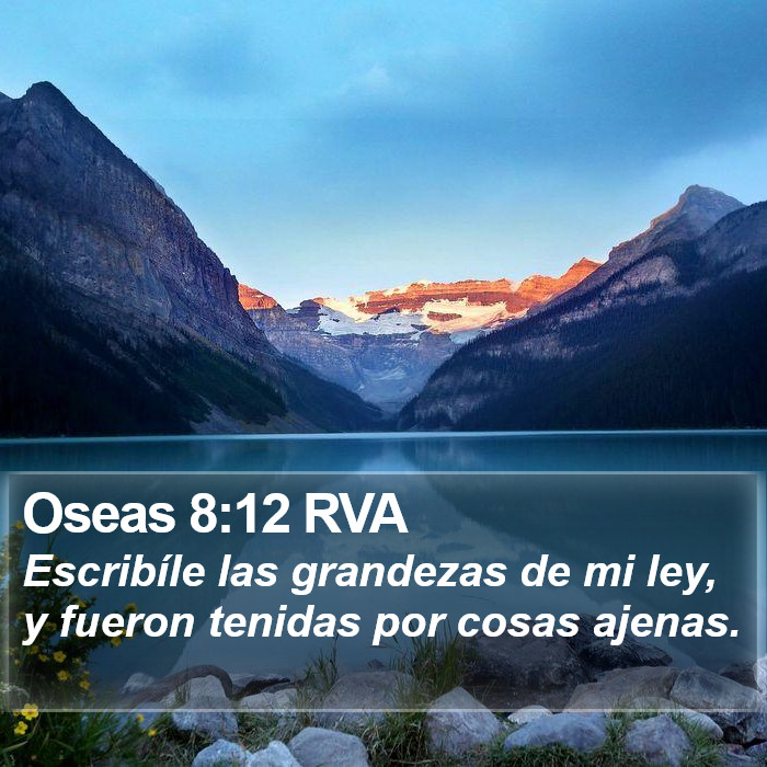 Oseas 8:12 RVA Bible Study