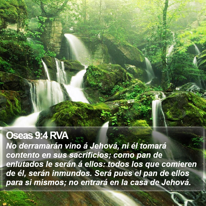 Oseas 9:4 RVA Bible Study