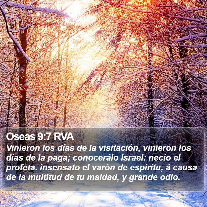 Oseas 9:7 RVA Bible Study