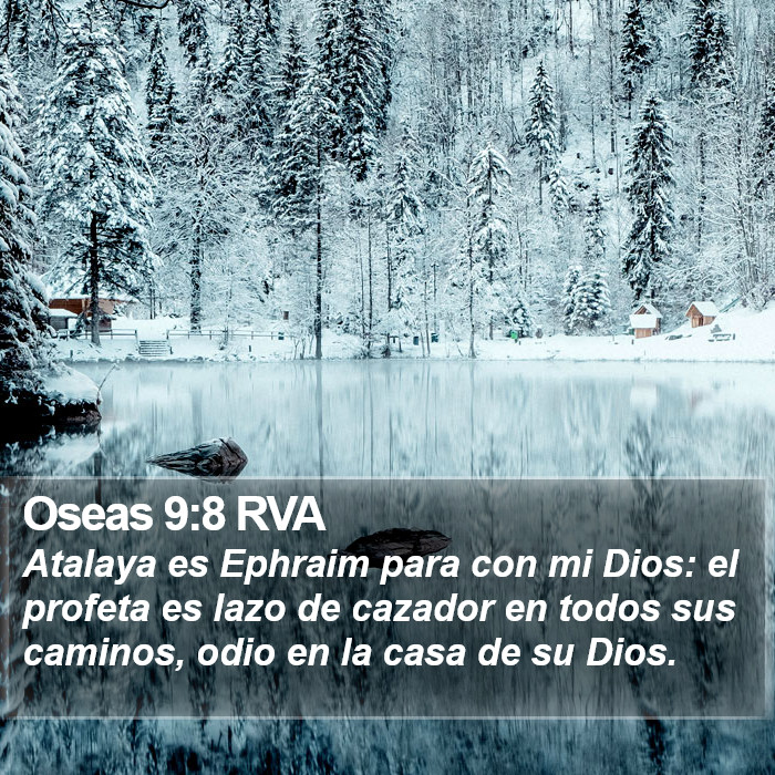 Oseas 9:8 RVA Bible Study