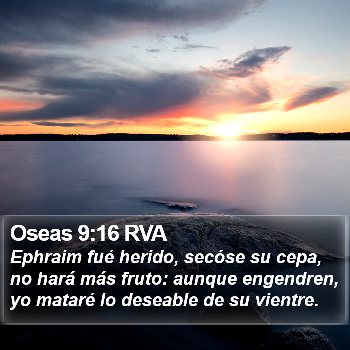 Oseas 9:16 RVA Bible Study