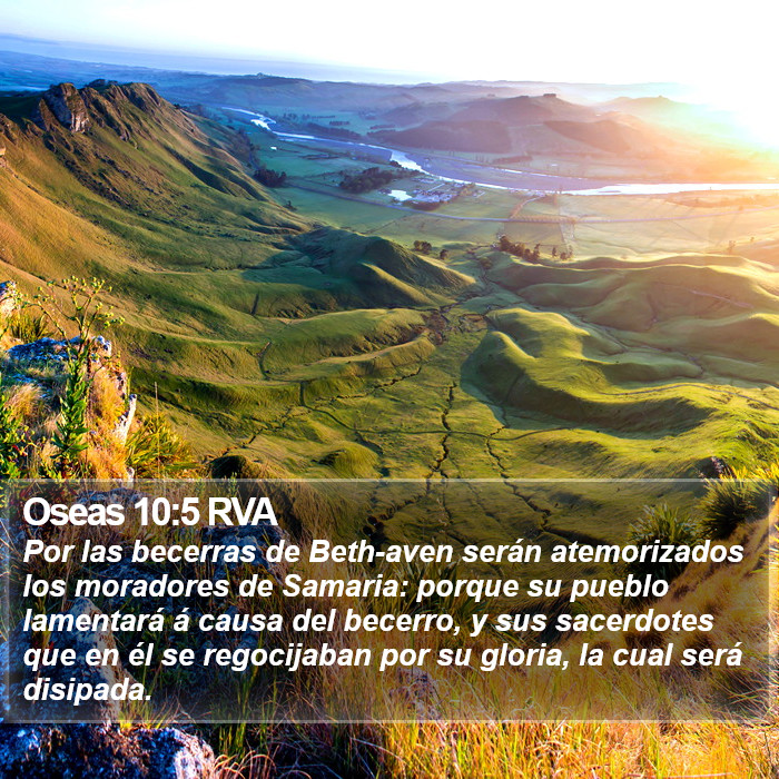 Oseas 10:5 RVA Bible Study