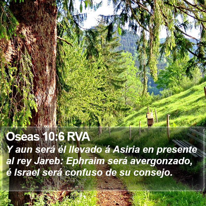 Oseas 10:6 RVA Bible Study