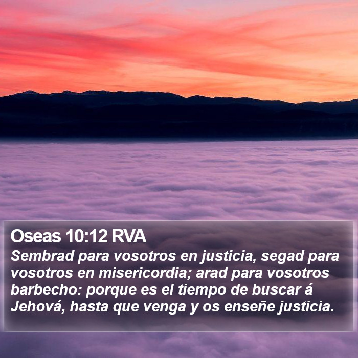 Oseas 10:12 RVA Bible Study