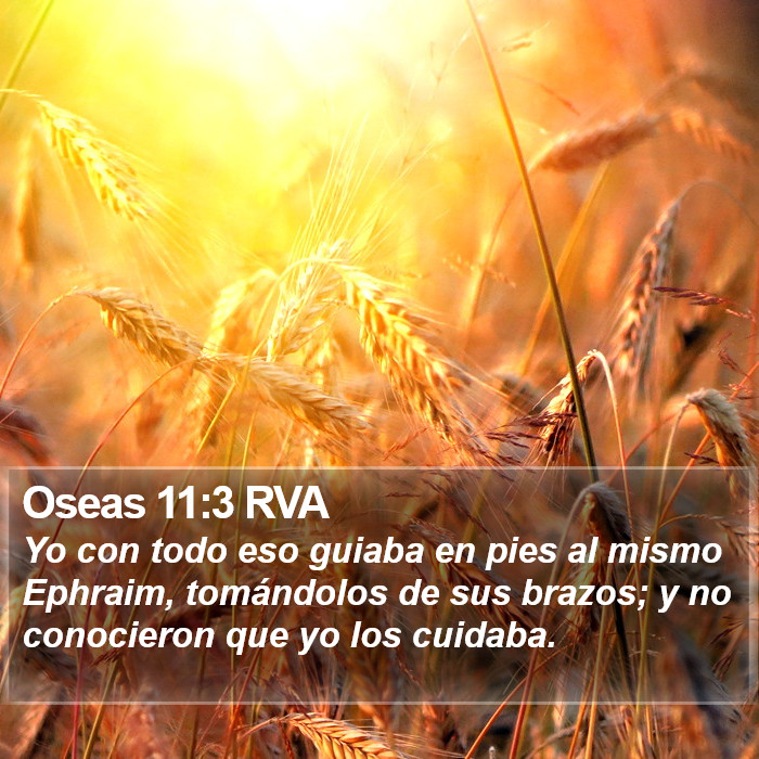 Oseas 11:3 RVA Bible Study