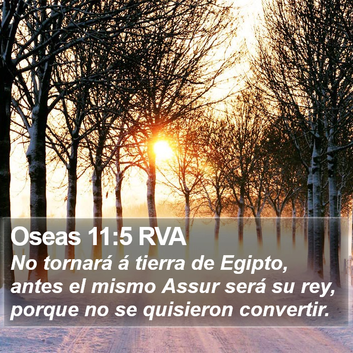 Oseas 11:5 RVA Bible Study