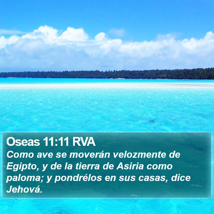 Oseas 11:11 RVA Bible Study