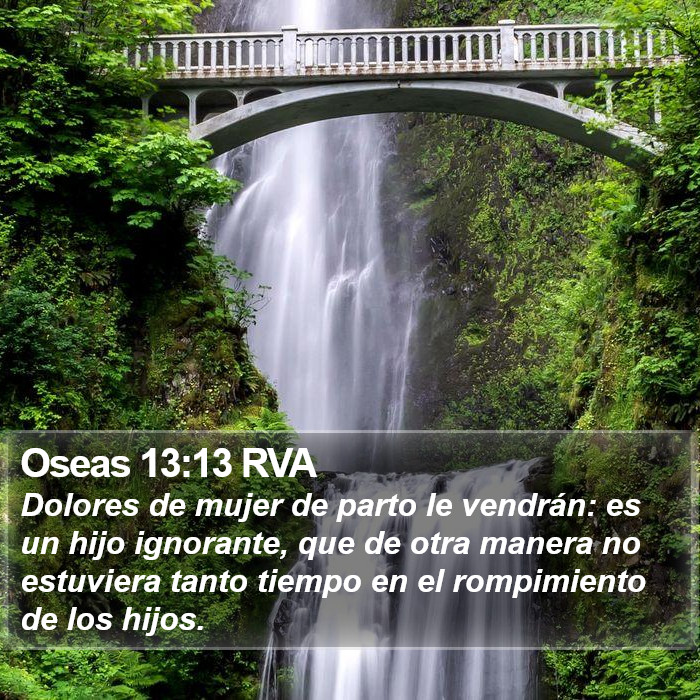 Oseas 13:13 RVA Bible Study