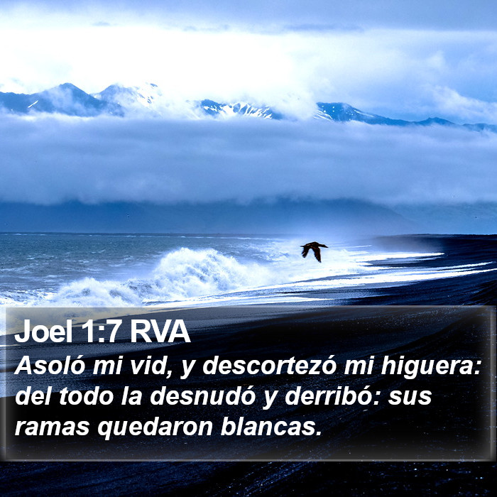 Joel 1:7 RVA Bible Study