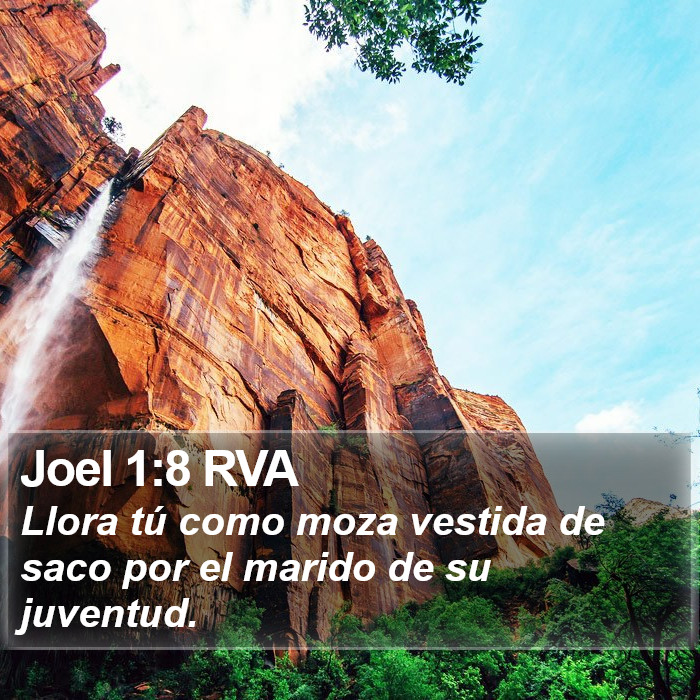 Joel 1:8 RVA Bible Study